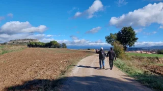 Instagram post from visitatona. This post is in position 4.